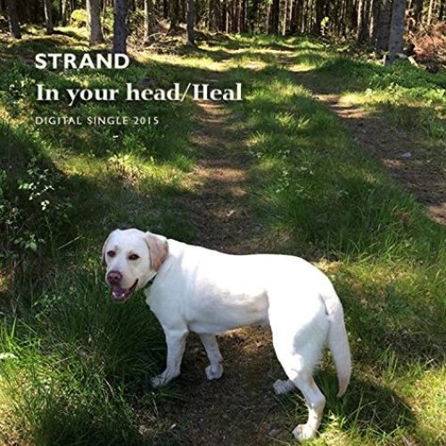 In Your Head/Heal