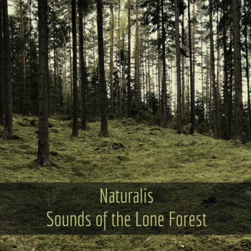 Sounds of the Lone Forest