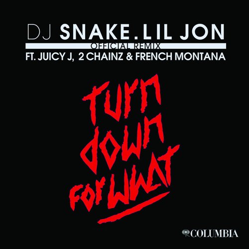 Turn Down for What (Official Remix)