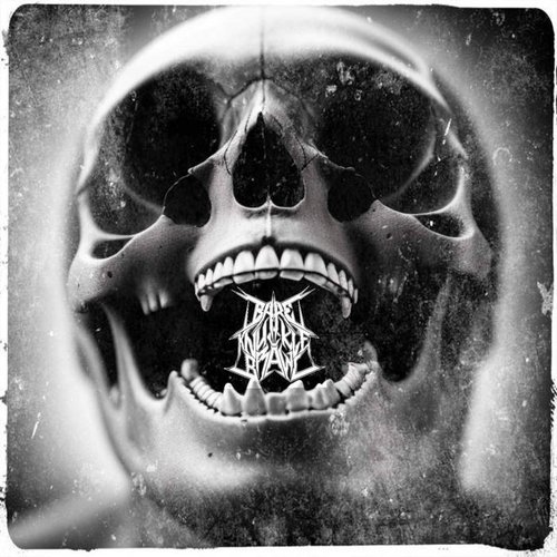 Fisticuffs - Single