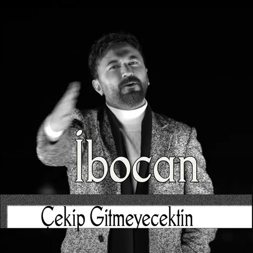 Çekip Gitmeyecektin