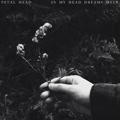 In My Head Dreams Melt
