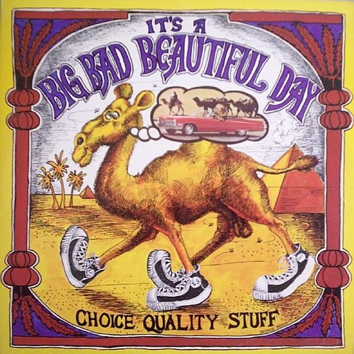 Choice Quality Stuff... Anytime