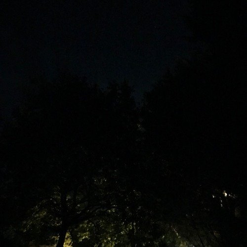 Shelter - Single