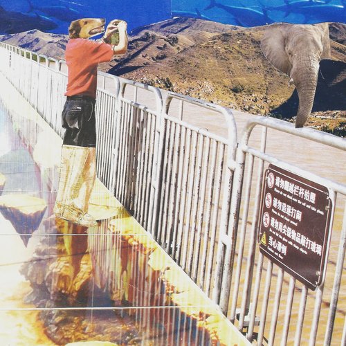 Amarillo Banqueta - Single