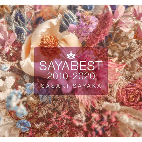 SAYABEST 2010-2020【Incomplete Edition】