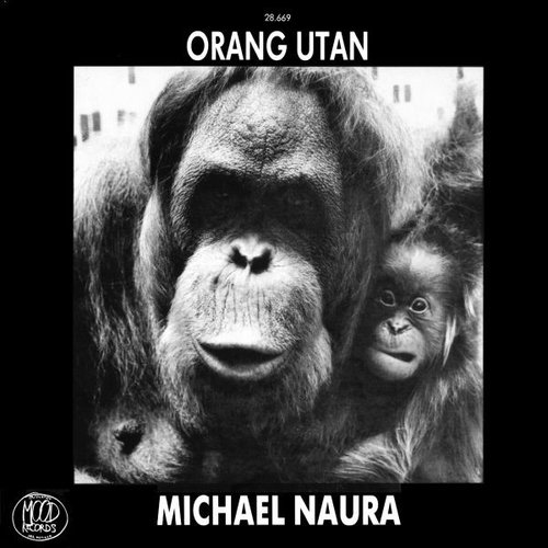 Orang Utan