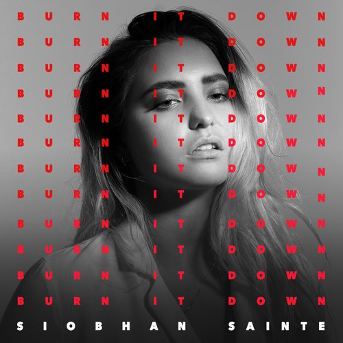 Burn It Down [Explicit]