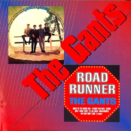 Gants Galore - Road Runner