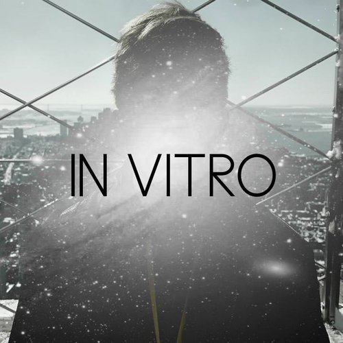 In Vitro