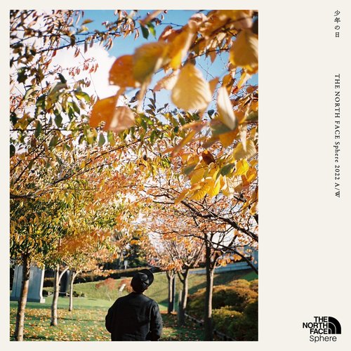 少年の日 (-Light years Ⅱ- THE NORTH FACE Sphere A/W)