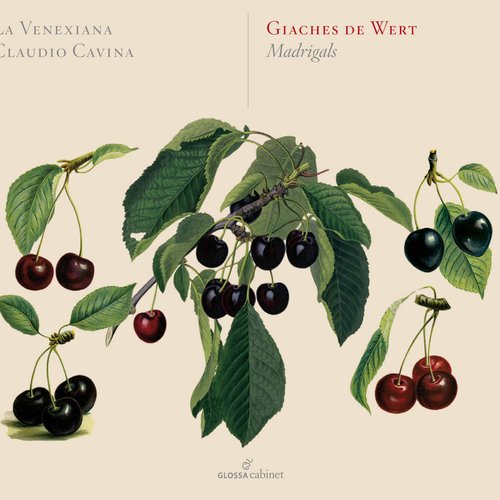Wert: Madrigals