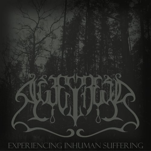 Experiencing Inhuman Suffering