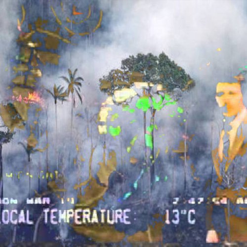 Forecast