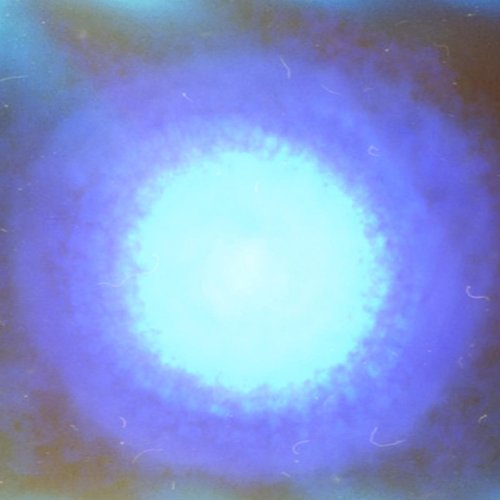 Anemoia