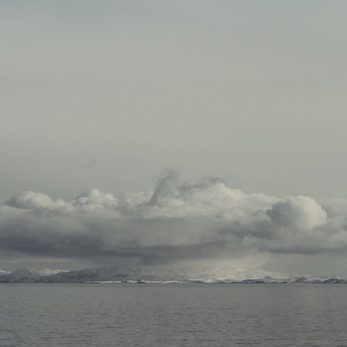 Abyssal Plain