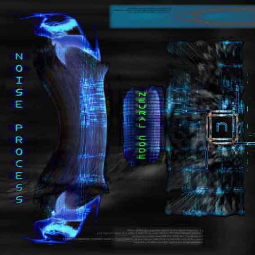Neural Code