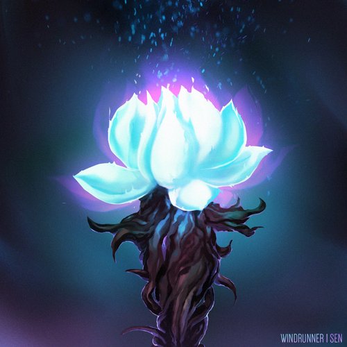 Lotus (Reimagined)