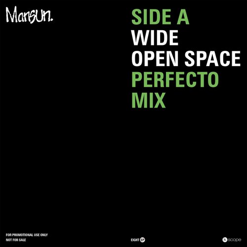 Wide Open Space (Perfecto Mix)