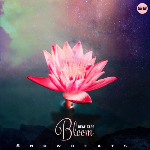 Bloom