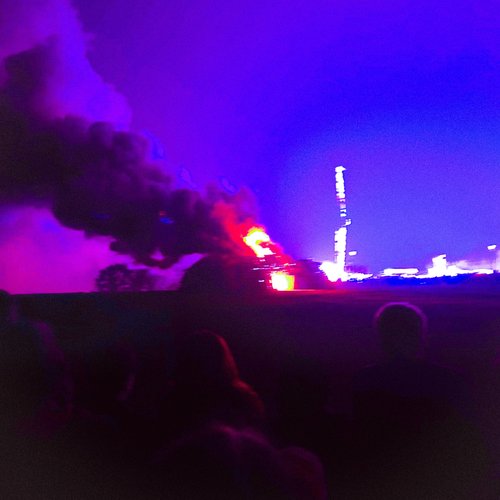Fuck The Flowers [Explicit]