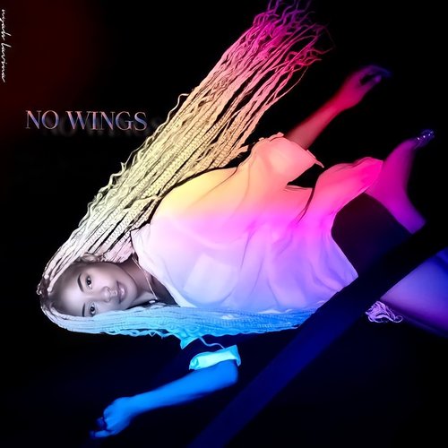 No Wings
