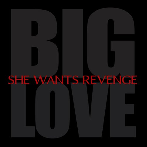 Big Love - Single