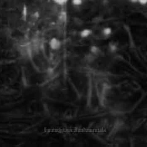 Ignominious Fundamentals