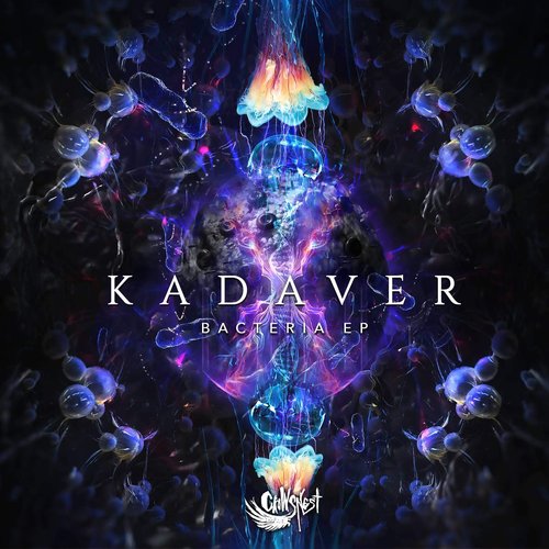 Bacteria EP