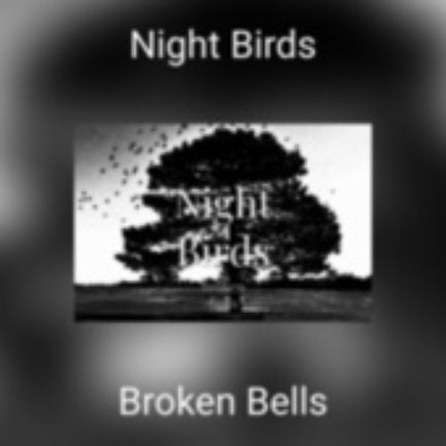 Night Birds - Single