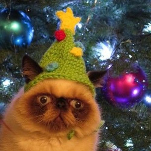 get jolly with it