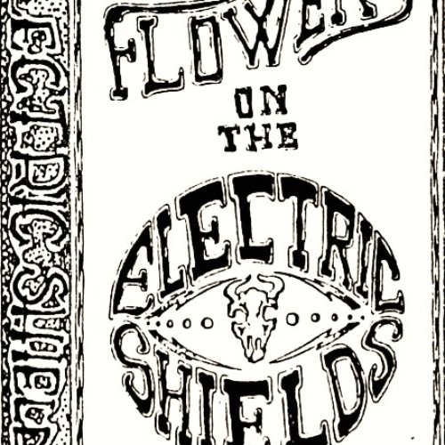 Sixty Flowers on The Electric Shields