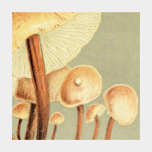 fell into the stream - Single