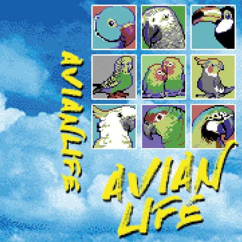 Avian Life