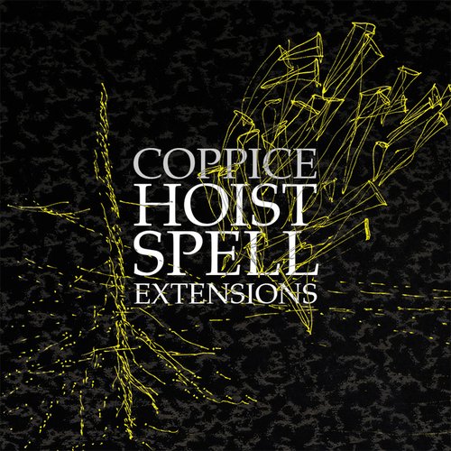 Hoist Spell Extensions
