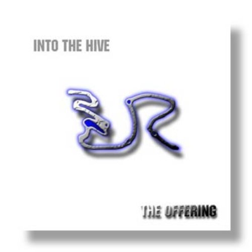 Into The Hive