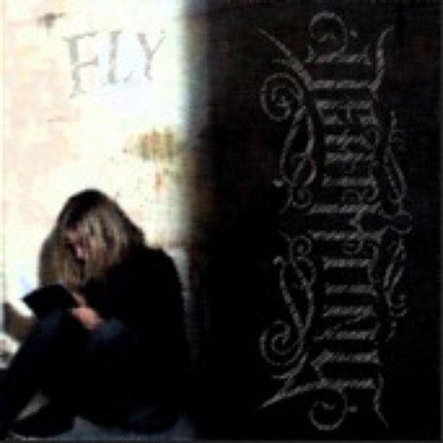 Fly