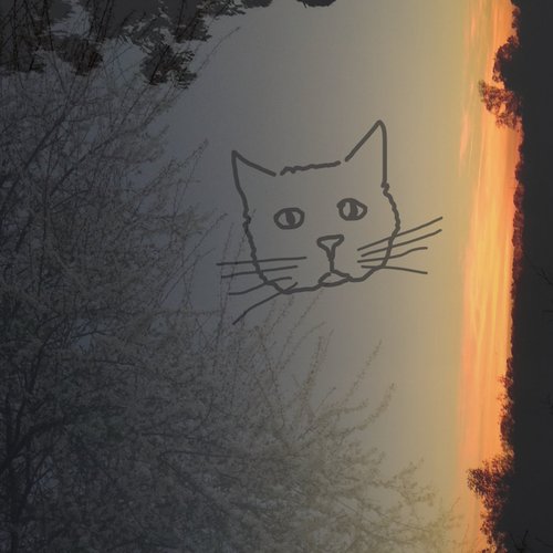 i'll wait here, i hate bowling