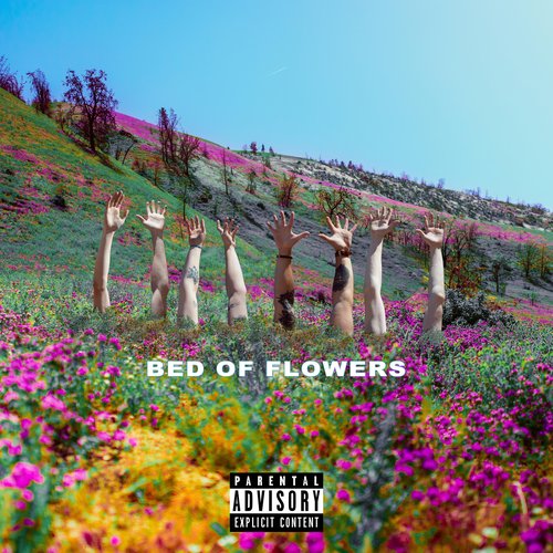 Bed of Flowers