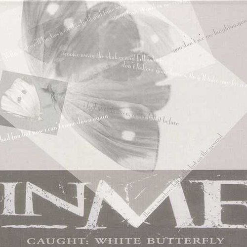 Caught: White Butterfly