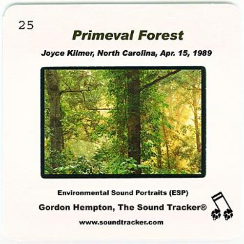 Primeval Forest