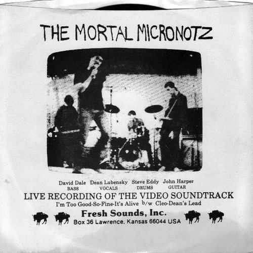 Live Recording of the Video Soundtrack