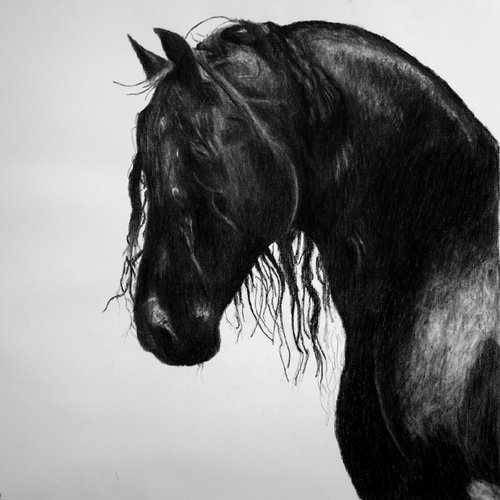 Black Horse Plague