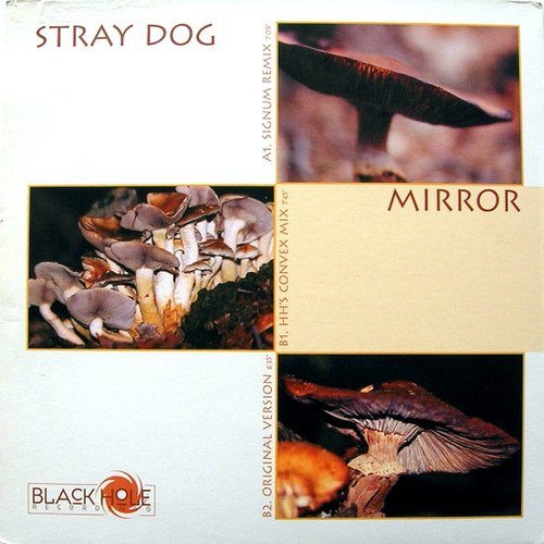 Mirror