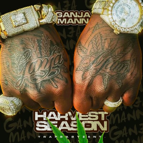 Harvest Season