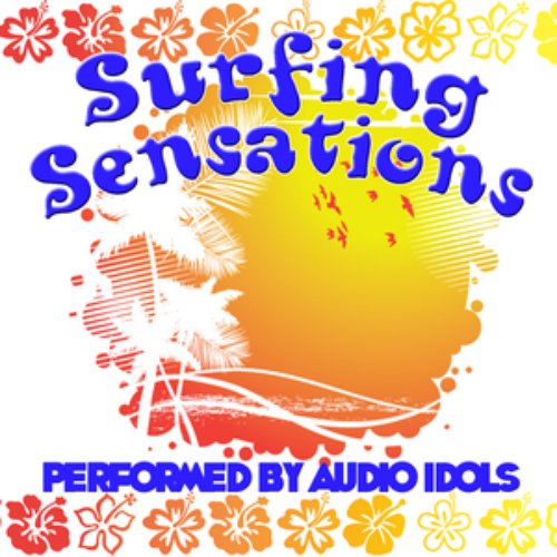 Surfing Sensations