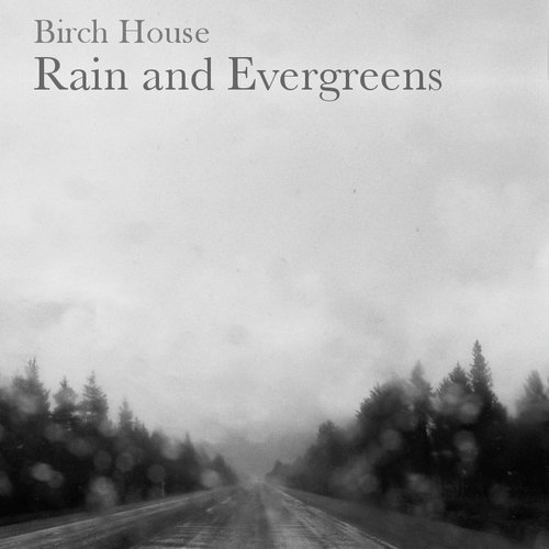 Rain and Evergreens