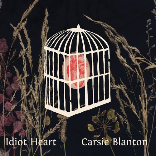 Idiot Heart