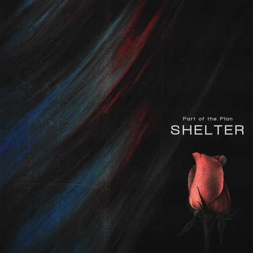 Shelter - Single