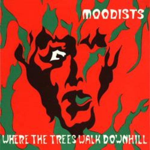 Where The Trees Walk Downhill